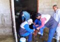 واکسینه شدن ۵۰۰۰ راس دام سبک علیه بیماری آبله و p.p.rتوسط بسیج جامعه مهندسین کشاورزی شهرستان چرام (تیم جهادی دامپزشکی مرکزی )