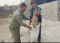 نجات یک قلاد شغال زخمی از دست سگ های حومه شهر چرام